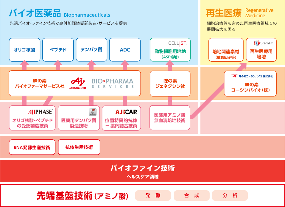 「先端バイオ医療周辺領域」における事業展開